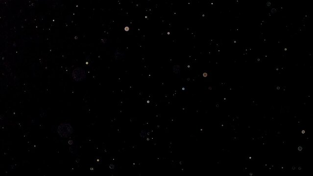 Natural Organic Dust Particles Floating On Black Background. Dynamic Dust Particles Randomly Float In Space. Shimmering Glittering Dust Particles With Bokeh. Slow motion on Black Background.