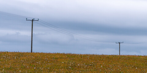 A power lines in a field, sky. Minimalistic landscape, electric post on grass field under cloudy...