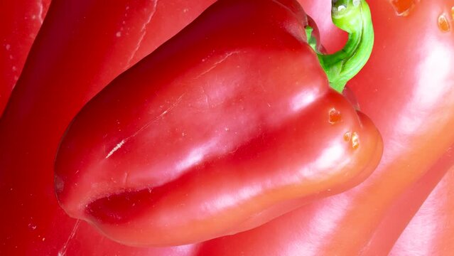 Zooming Bell pepper seamless loop  background. Vegetables in seamless loop animation. Endless food motion graphic background