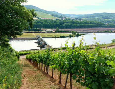 Blick von Weinbergen auf die Mosel-Staustufe Apach. Die Mosel bildet hier die Grenze zwischen Frankreich und Deutschland. 