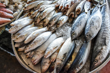 Various fishes to sell in the fish market
