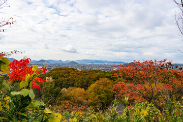 紅葉した木々と街並み(香川県高松市～三木町)