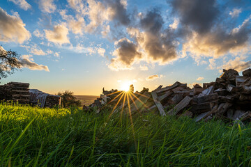 Brennholz im Sonnenuntergang