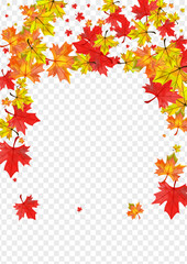 Green Foliage Background Transparent Vector. Plant Flying Frame. Yellow Celebrate Leaf. October Leaves Template.