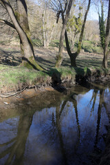 La Bievre river - Buc - Yvelines - Ile-de-France - France