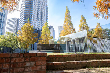 秋の日本の都市の様子