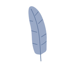 Banana leaf in trendy illustration design
