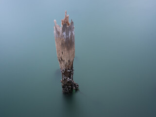 Upright wooden poles left to rot in the sea at Sunny Bay, Lantau, Hong Kong.  Long exposure gives silky smooth surface to the water.