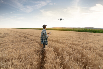 Farmer controls drone. Smart farming and precision agriculture	