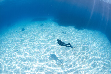 snorkeling scuba diving in the great barrier reef on a sunny day with clear water ocean