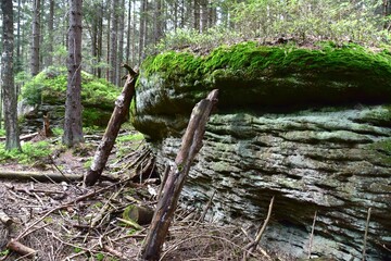 Skalne Grzyby, Park Narodowy, Gory Stolowe, przyroda, natura, las