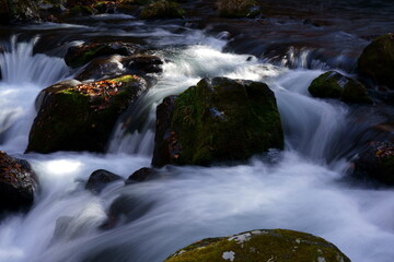 Fototapeta premium 初秋の渓流の景色