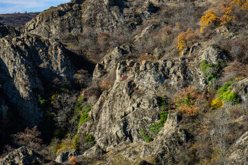 Obraz premium Autumnal landscape of Birtvisi canyon