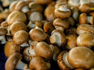 fresh mushrooms at the market