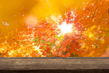 wooden table with forest bokeh background
