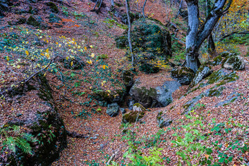 Autumnal landscape of Birtvisi canyon