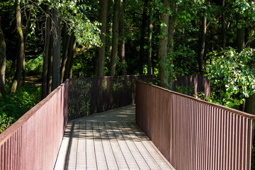 Pedestrian flooring for walks going to the territory of the forest park