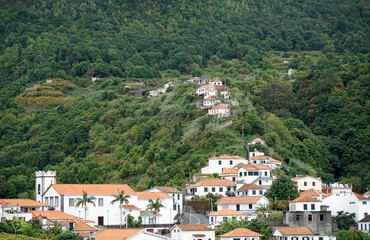 Fototapeta na wymiar hillside settlement on madeira island