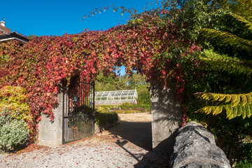 Botanical garden of Ardgillan Demesne during sunny day in autumn, in Southern Ireland
