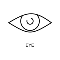 Eye icon. Eye symbol from lines. vector illustration