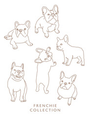 French Bulldog Outline Illustrations in Various Poses 2