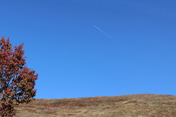 若草山を通過する飛行機