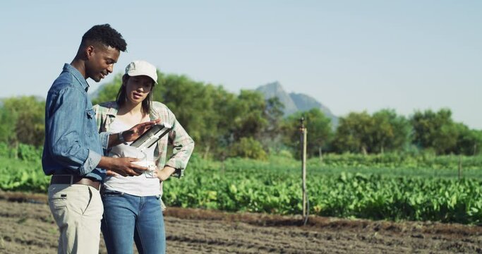 Farmer, Tablet And Agriculture Team Working, Eco Friendly Farm And Green Energy Sustainability Or Field Growth. Healthy Plants, Organic Gardening Or Plant Ecology And Teamwork Digital Ipad