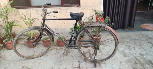 bicycle in the street