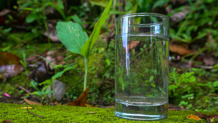 Glasses with water on a green plant background