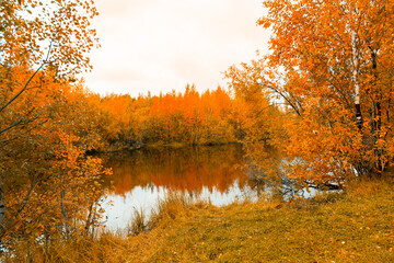 Fototapeta na wymiar Autumn landscape near a forest lake covered with grass
