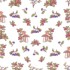 Seamless pattern with forest plants. Cranberries, strawberries, blueberries, mushrooms.
