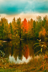 Autumn landscape near a forest lake covered with grass - 549201396