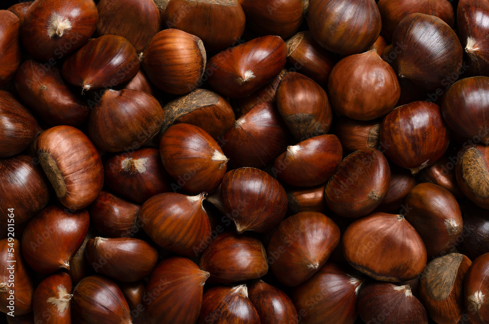 Wall mural chestnuts, background from above. edible nuts of sweet chestnut, castanea sativa. they can be eaten 