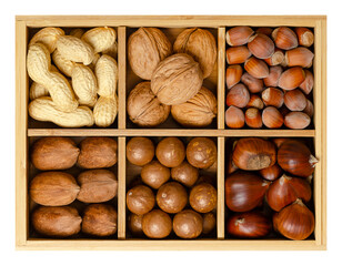 Mix of six different nuts in their shells, decorative assorted, in wooden box with compartments. Peanuts, walnuts, hazelnuts, pecans, macadamia nuts and sweet chestnuts. Close-up, isolated from above.