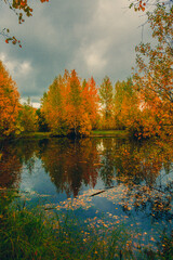 Autumn landscape near a forest lake covered with grass - 549201572