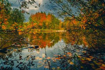 Autumn landscape near a forest lake covered with grass - 549201987