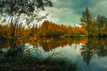 Autumn landscape near a forest lake covered with grass - 549202106
