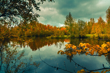 Autumn landscape near a forest lake covered with grass - 549202116