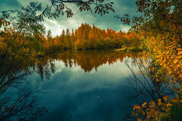 Autumn landscape near a forest lake covered with grass - 549202136