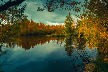 Autumn landscape near a forest lake covered with grass - 549202142