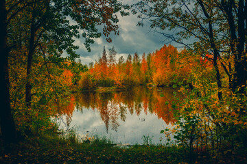 Autumn landscape near a forest lake covered with grass - 549202154