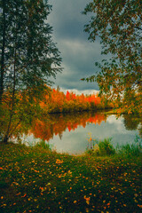 Autumn landscape near a forest lake covered with grass - 549202175