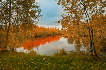 Autumn landscape near a forest lake covered with grass - 549202182