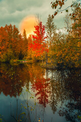 Sunrise against the background of red clouds of a forest lake - 549202319