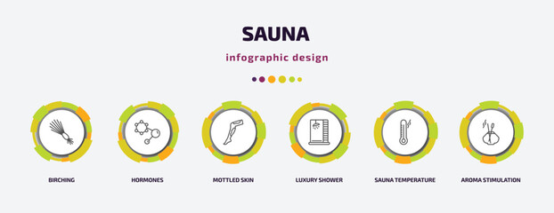 sauna infographic template with icons and 6 step or option. sauna icons such as birching, hormones, mottled skin, luxury shower, sauna temperature, aroma stimulation vector. can be used for banner,