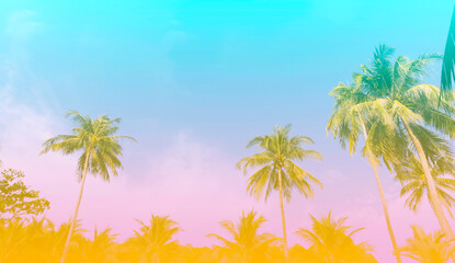 Fototapeta na wymiar The holiday of Summer holiday colorful theme with palm trees background as texture frame background