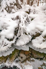 Winter landscape with snow-covered trees, a river in the forest