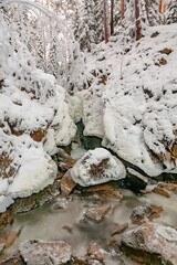 Obraz premium Winter landscape with snow-covered trees, a river in the forest
