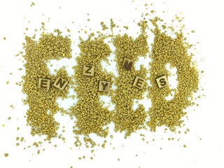 CONCEPT, Digestibility and Enzymes efficacy for animal performance, table, data, research, journal, image for feed additive product brochures designs, presentation, aquatic and poultry