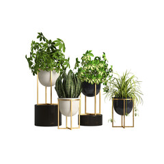 3d illustration of set plant pot isolated on transparent background